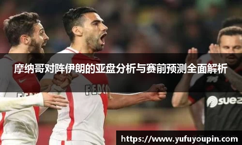摩纳哥对阵伊朗的亚盘分析与赛前预测全面解析